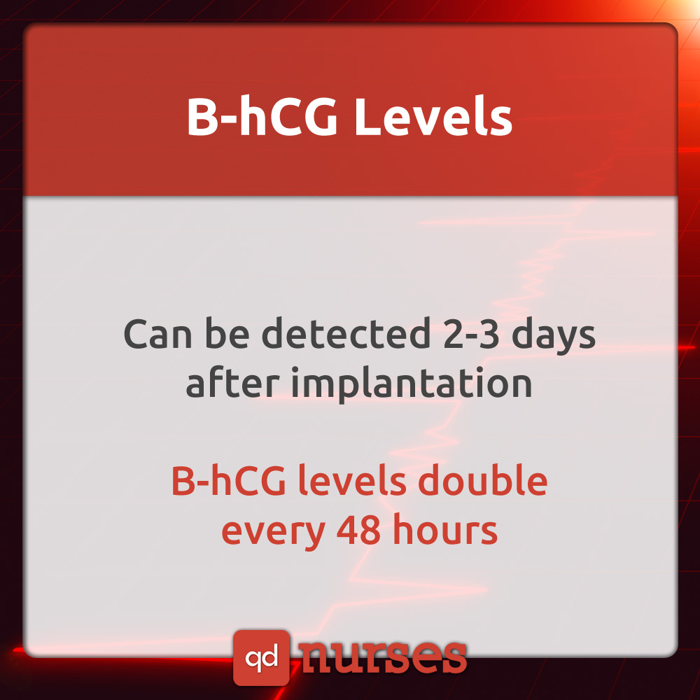 BHCG Levels