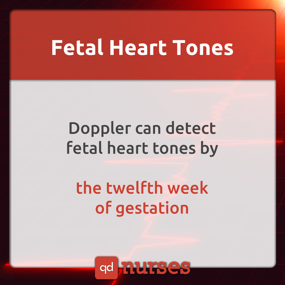 Fetal Heart Tones