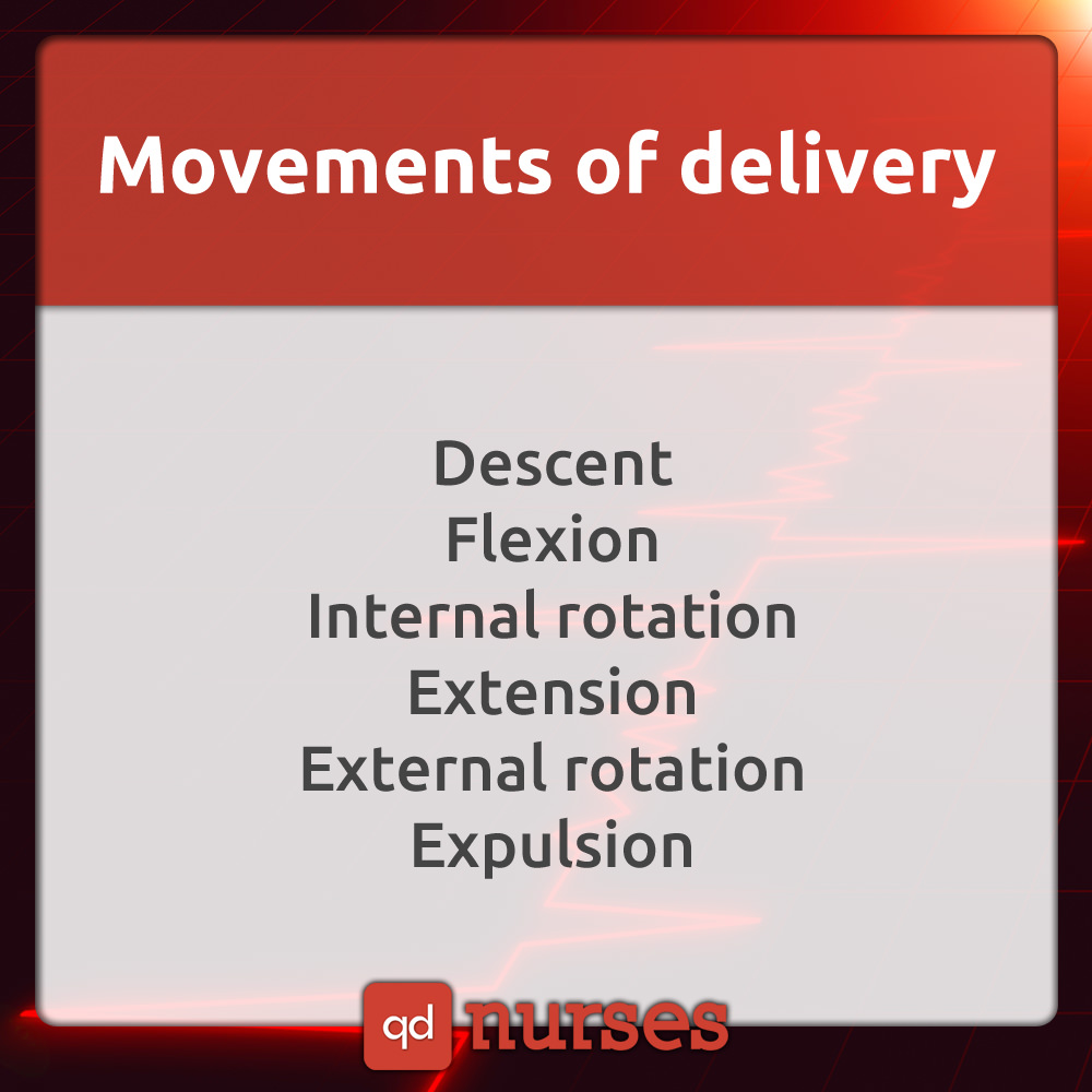 Movements of Delivery