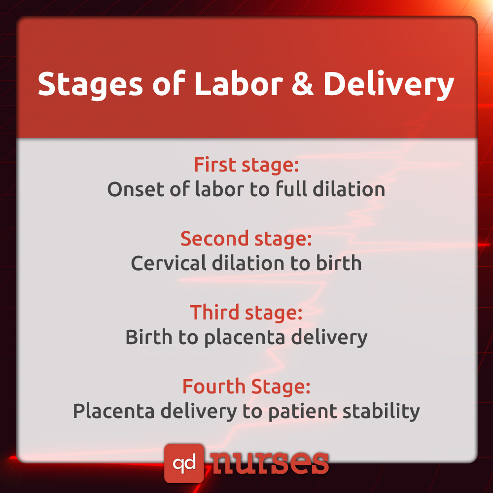 Stages of Labor Delivery