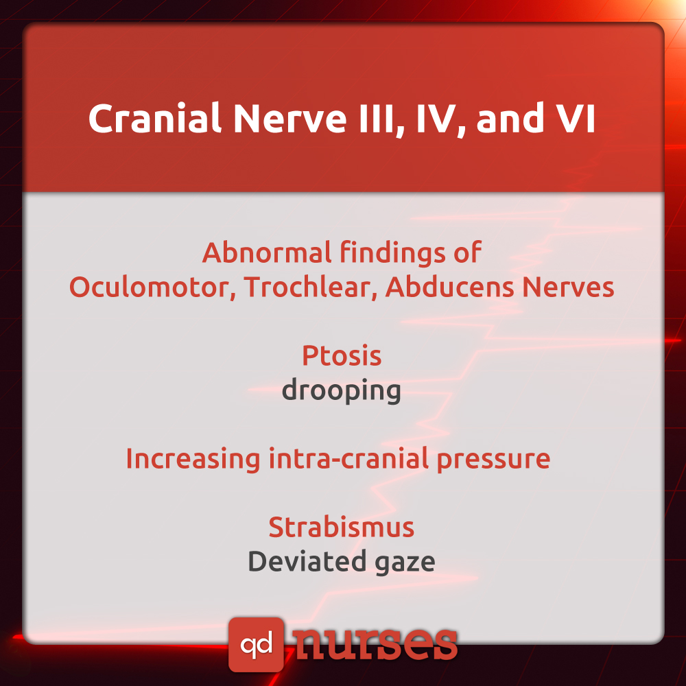 Cranial Nerve III, Cranial Nerve IV, and Cranial Nerve VI