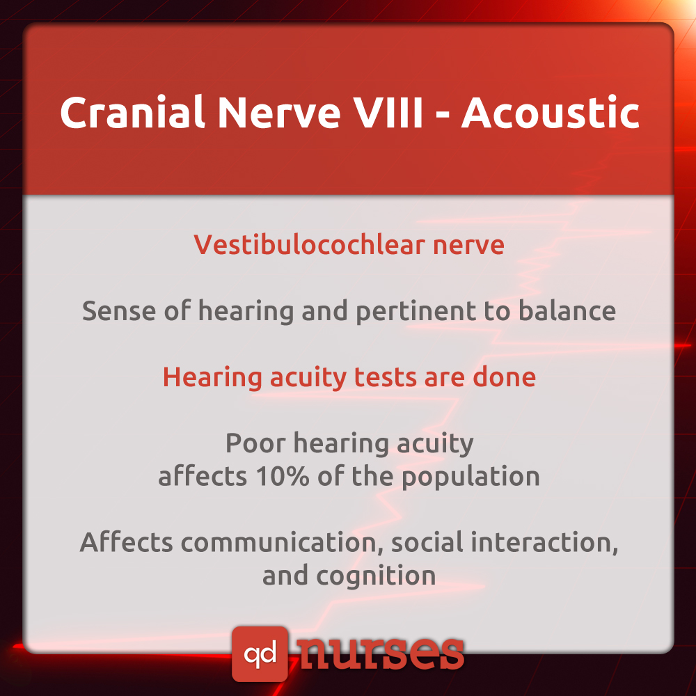 Cranial Nerve VIII - Acoustic