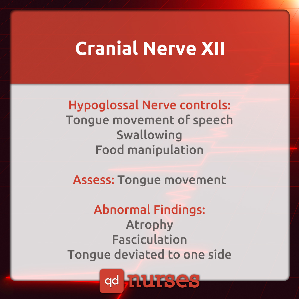 Cranial Nerve XII