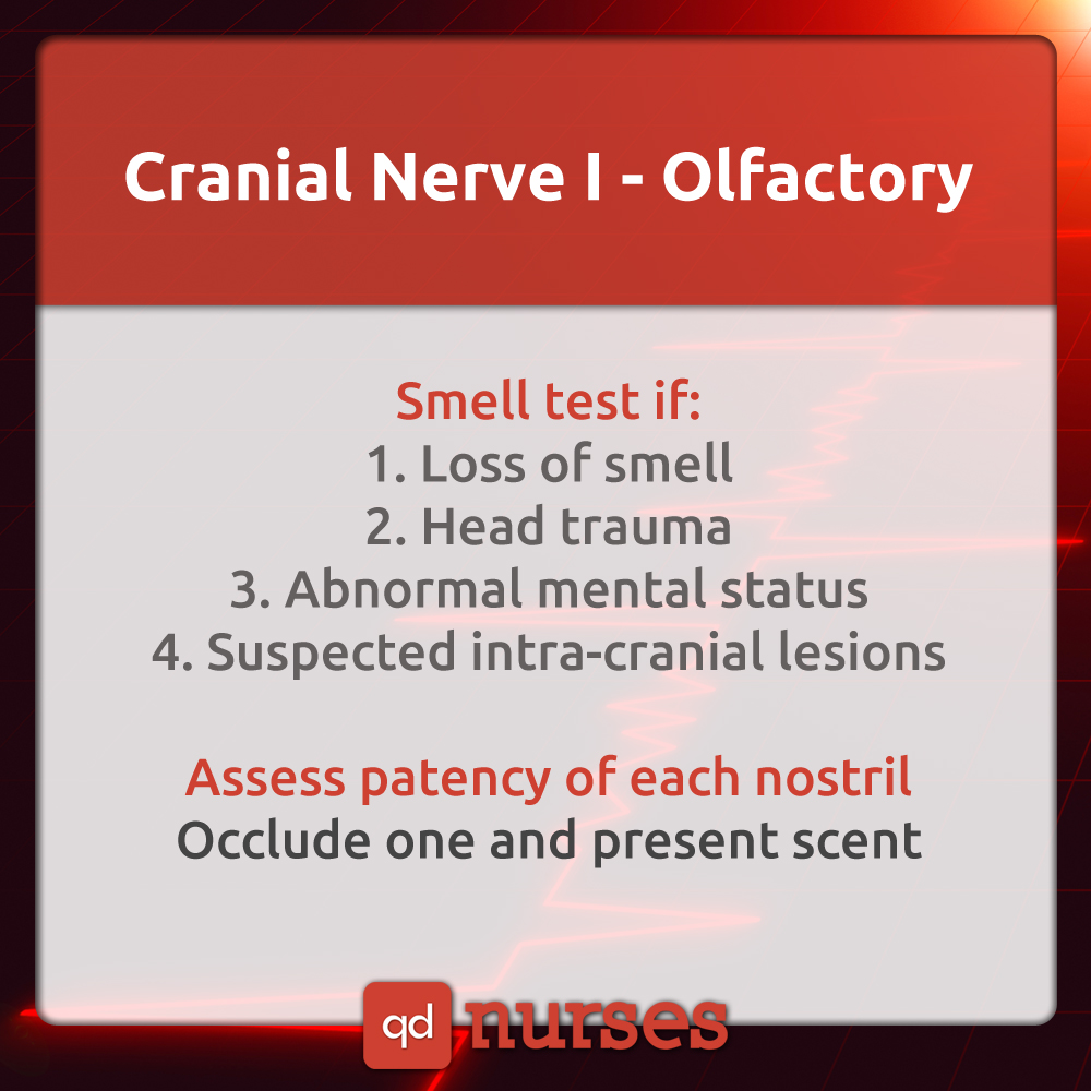 Cranial Nerve I - Olfactory