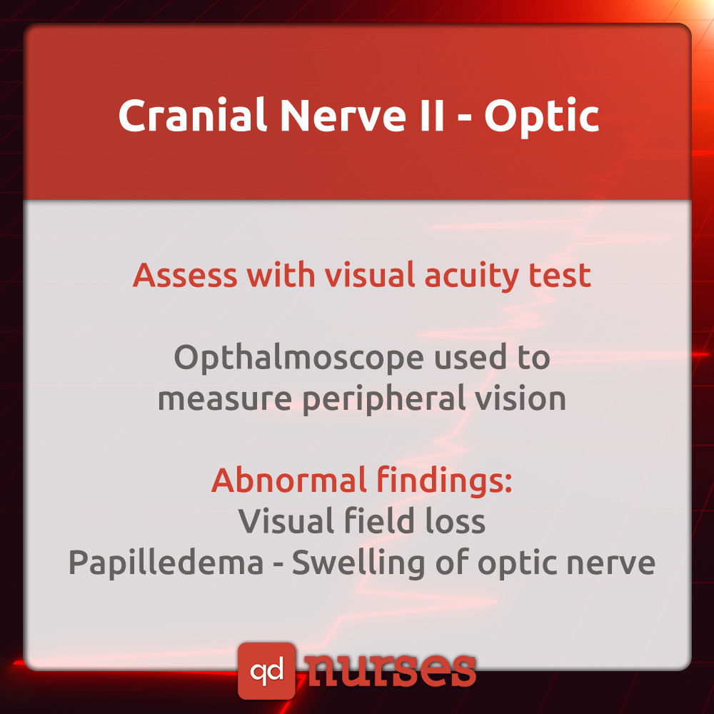 Cranial Nerve II - Optic