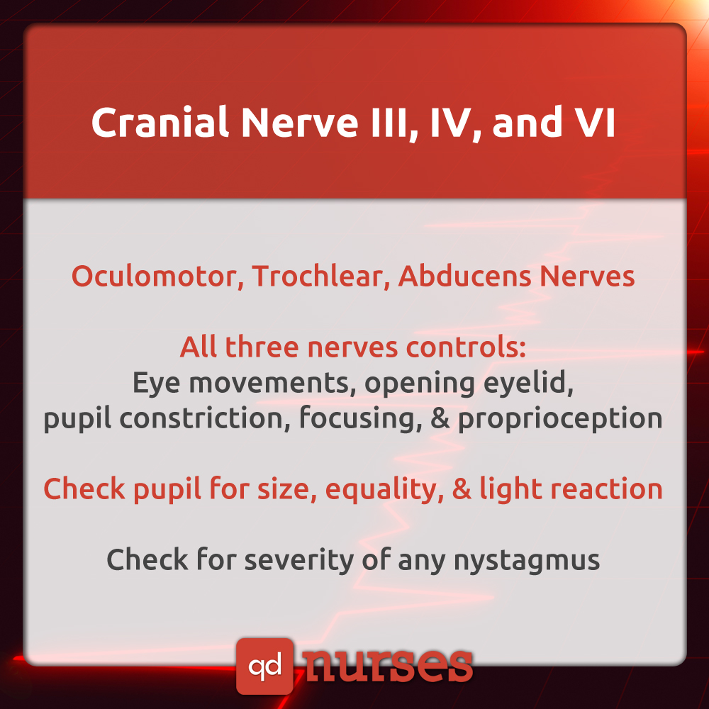 Cranial Nerve III, Cranial Nerve IV, and Cranial Nerve VI