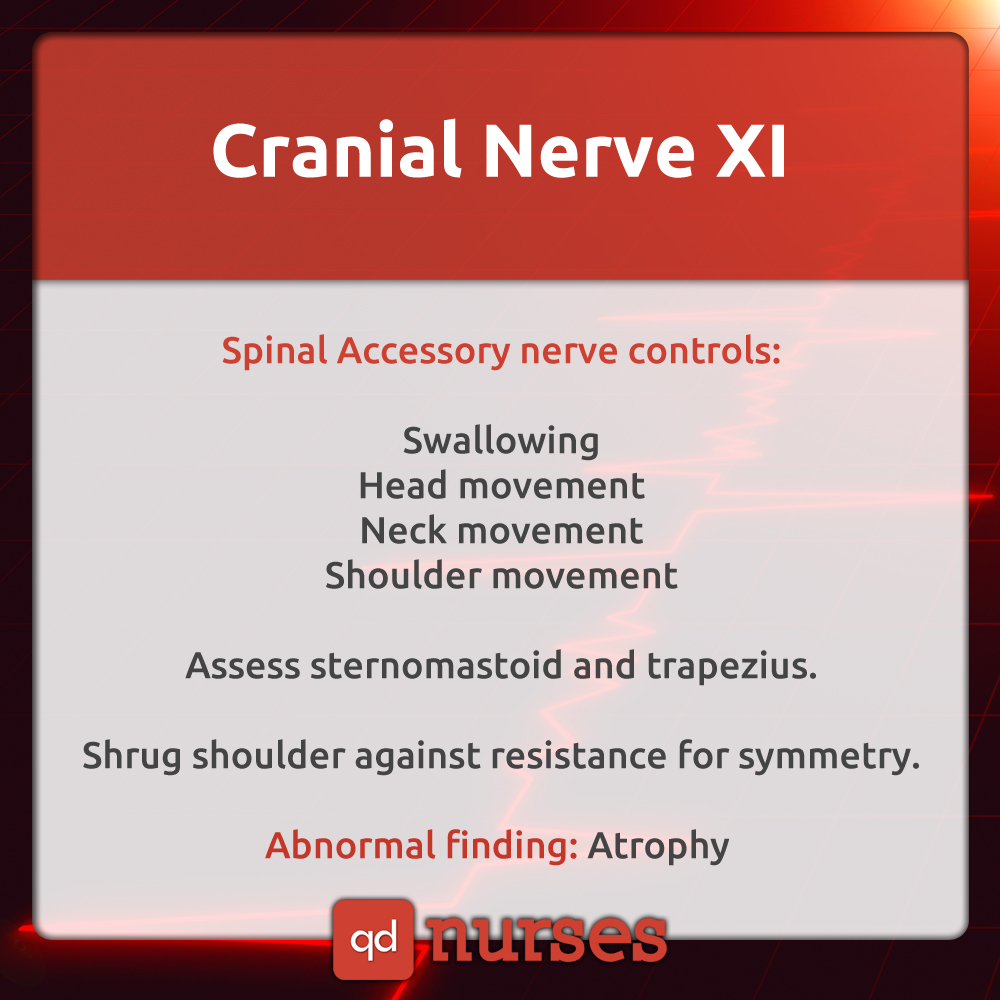 Cranial Nerve XI