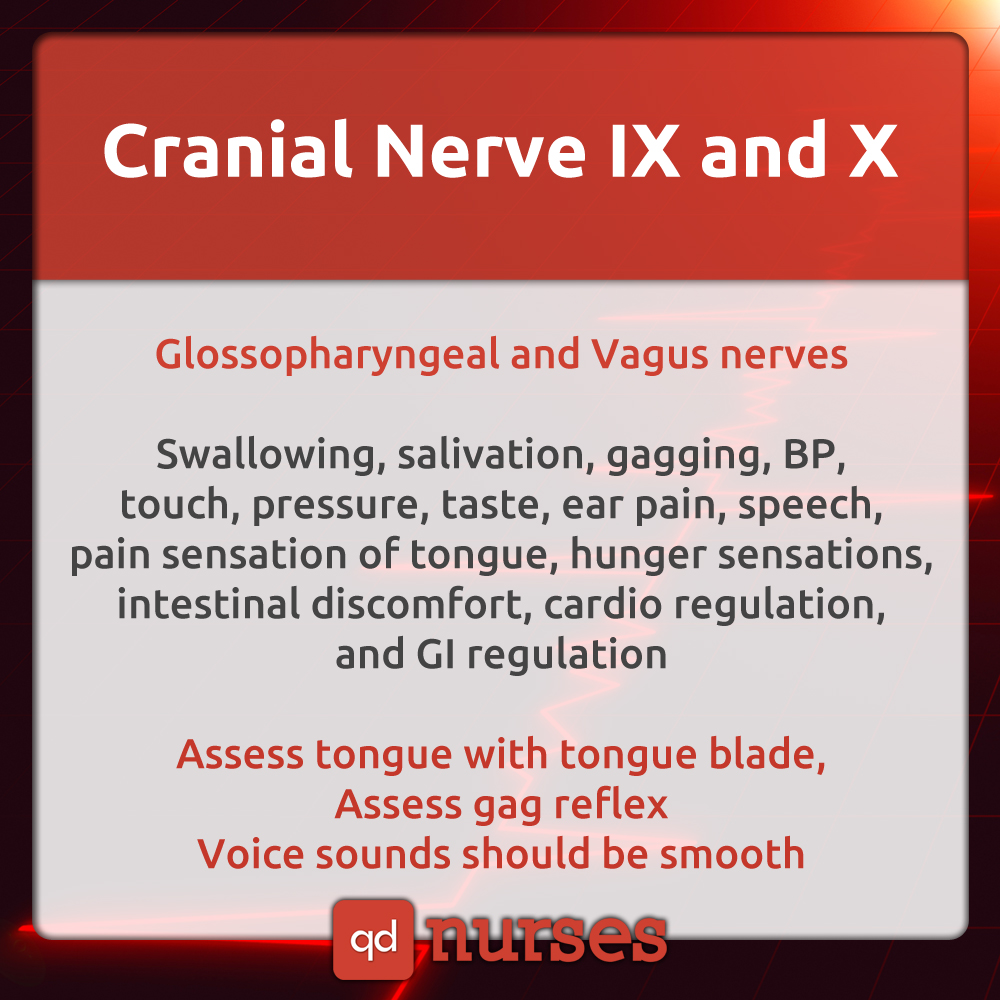 Cranial Nerves IX and X