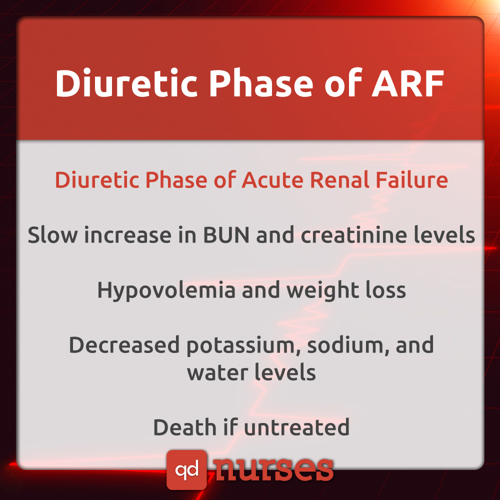 Diuretic Phase of ARF