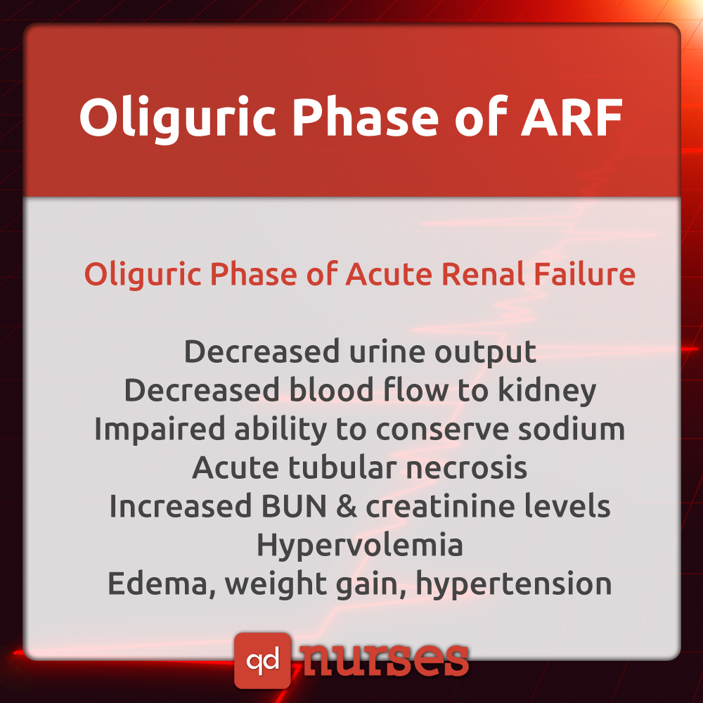 Oliguric Phase of Acute Renal Failure