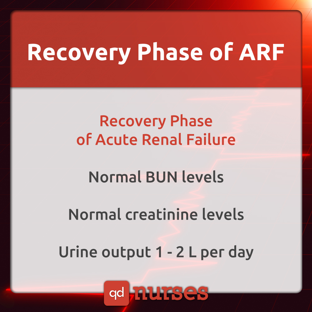 Recovery Phase of ARF