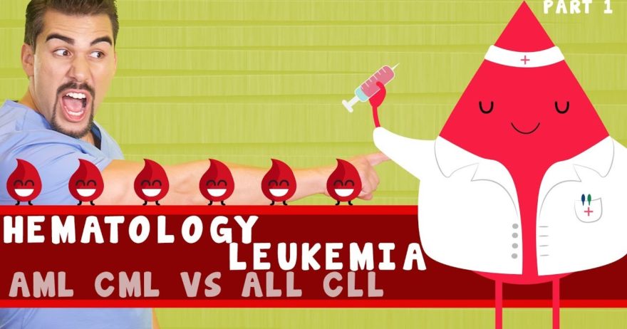 Leukemia in a Nutshell