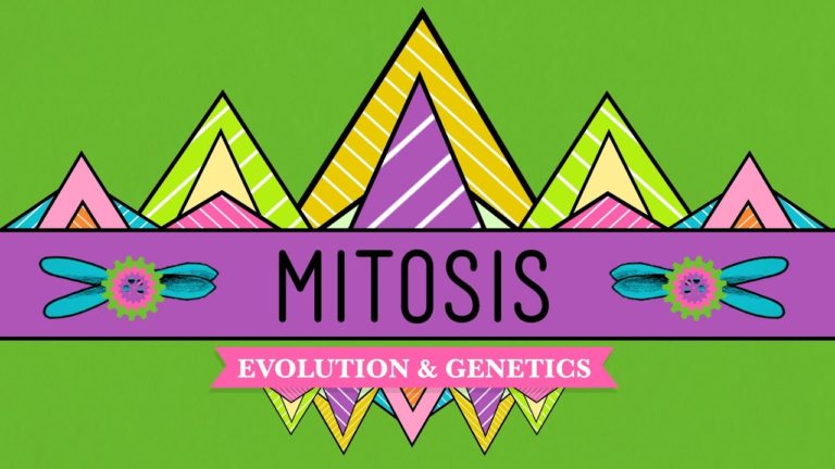 Mitosis and Cytokinesis Simplified in 10 Minutes