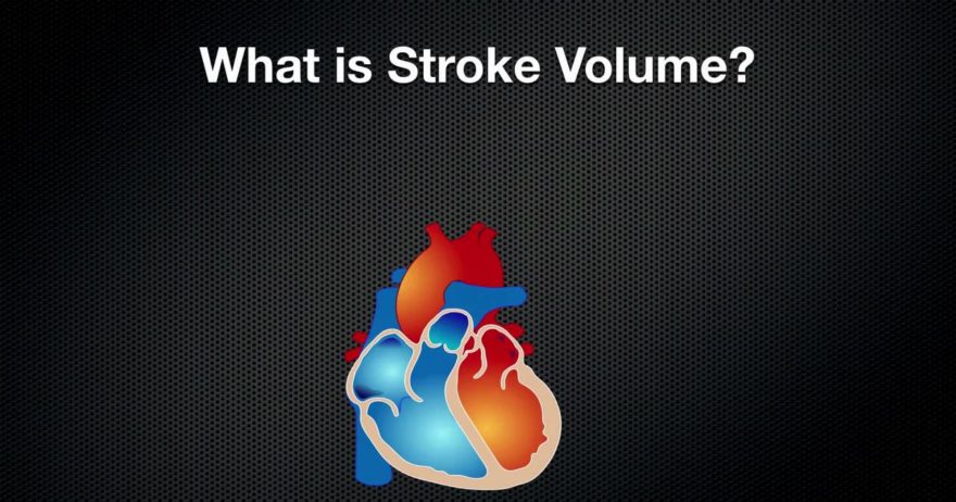 Useful Guideline to Calculating Stroke Volume