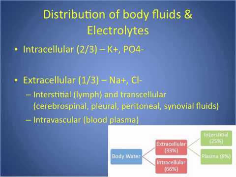The Basics of Fluids & Electrolytes