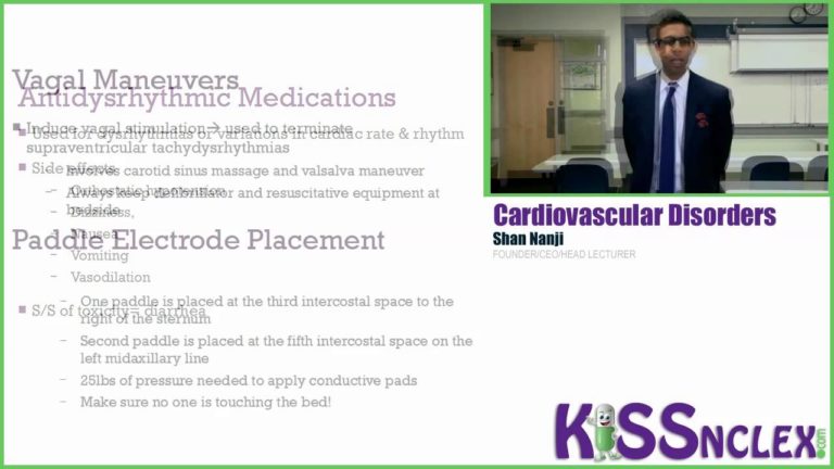 Save Yourself with an Easy Explanation of Cardiovascular Disorders