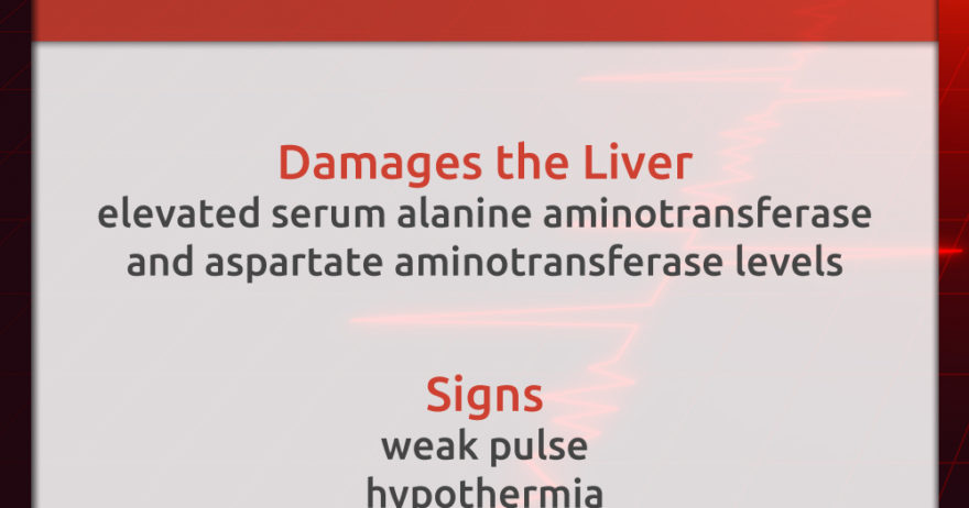 Acetaminophen Poisoning