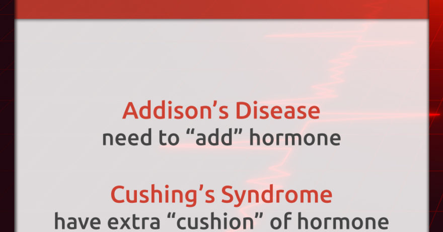 Addison & Cushing's