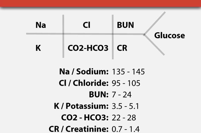 Basic Metabolic Panel