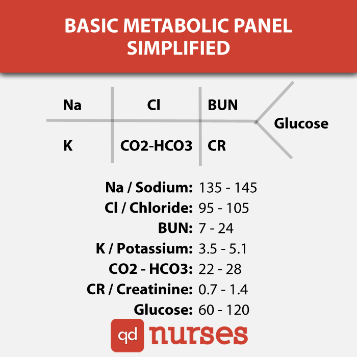 Basic Metabolic Panel Simplified QD Nurses