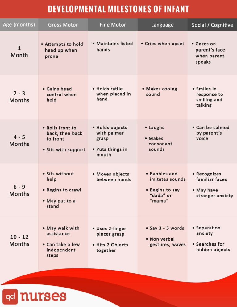 Developmental Milestones of an Infant