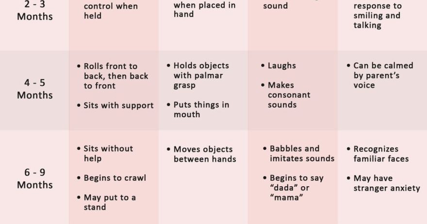 Developmental Milestones of an Infant