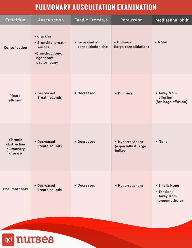 Pulmonary Auscultation Examination