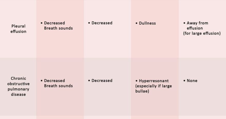 Pulmonary Auscultation Examination