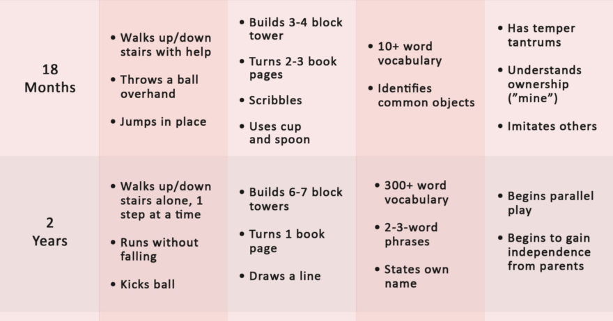 Toddler Developmental Milestones