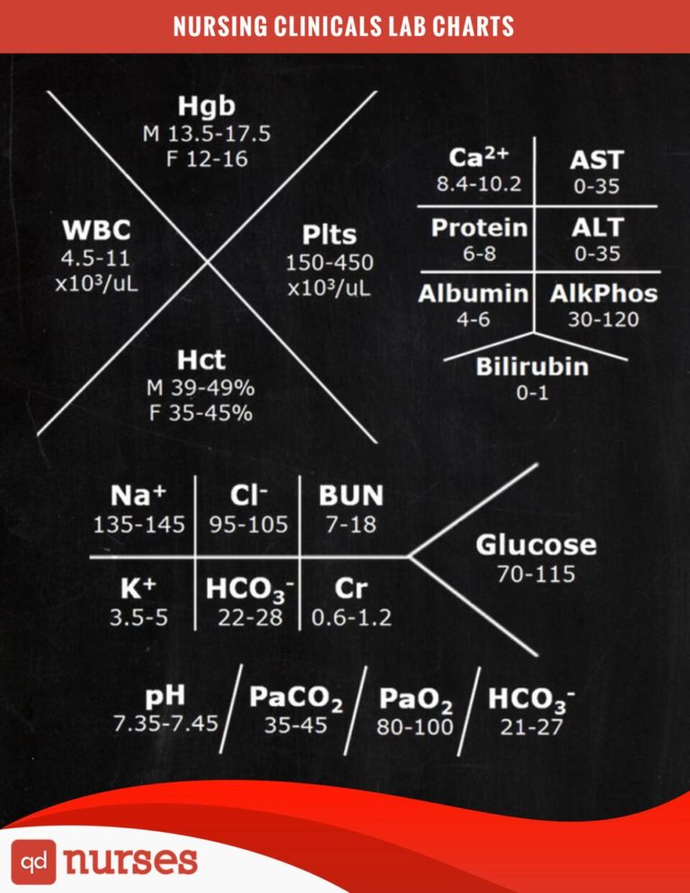 Nursing Clinicals Lab Charts