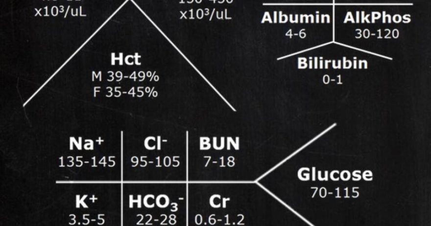 Nursing Clinicals Lab Charts