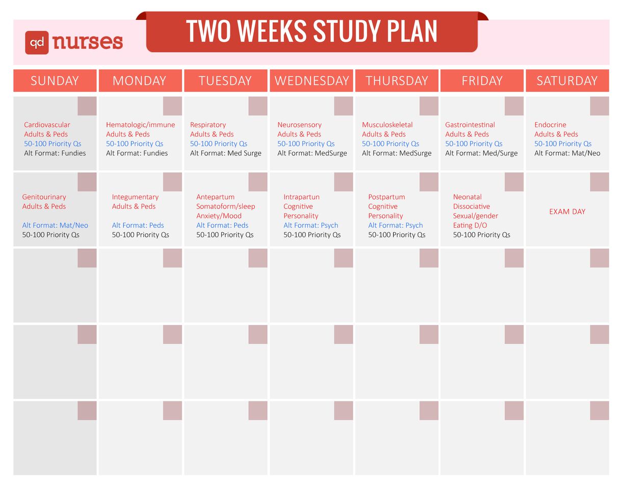 Two Week Study Plan
