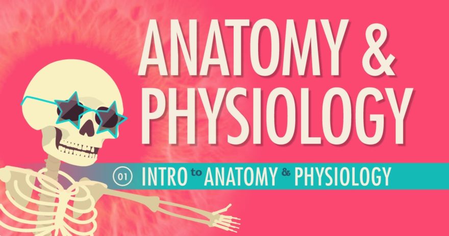 Anatomy & Physiology Introduction in 10 Minutes