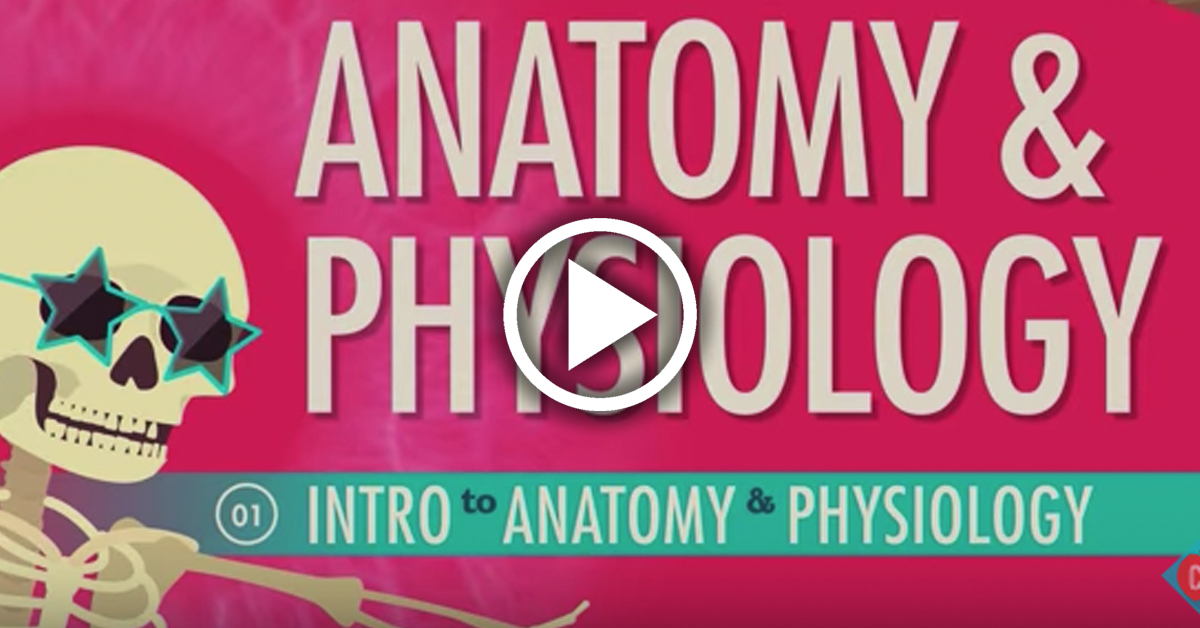 Anatomy and Physiology Introduction