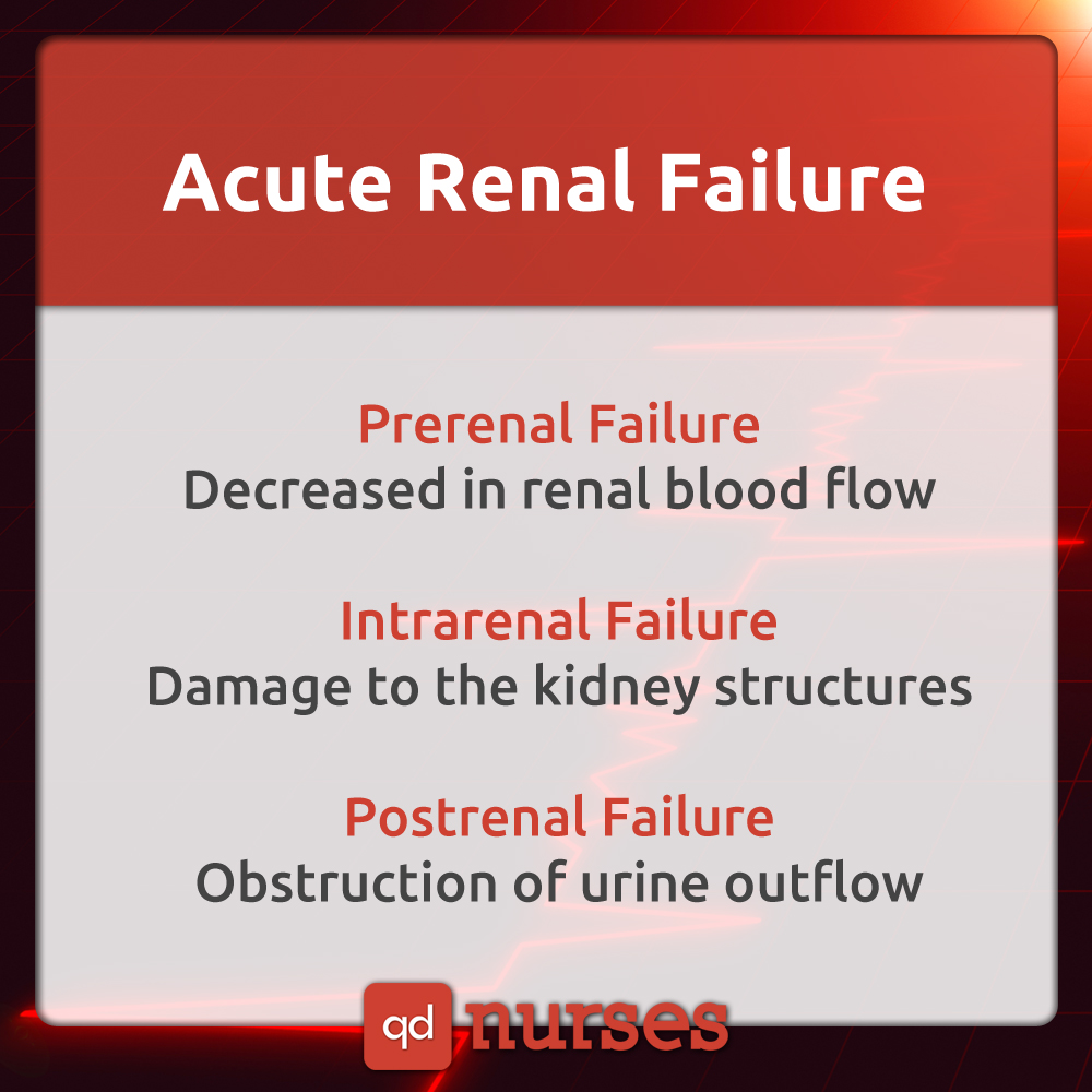 Acute Renal Failure