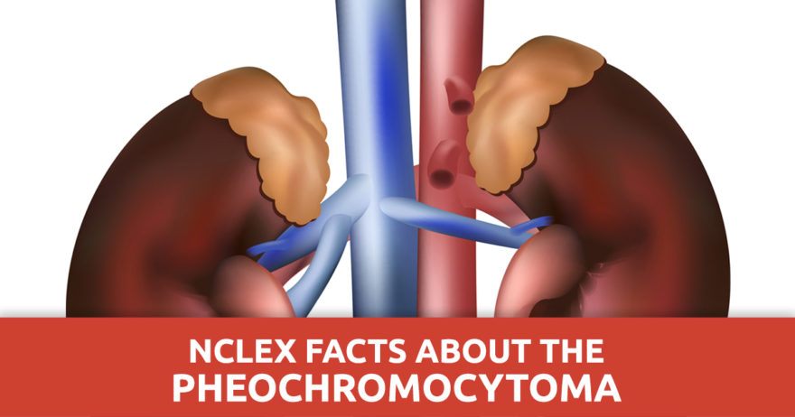 NCLEX Facts About the Pheochromocytoma