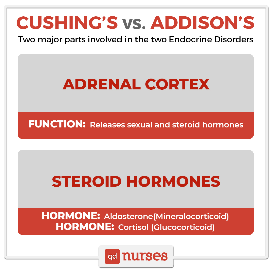 Cushing's vs Addison's - Two major parts involved in the two Endocrine Disorders