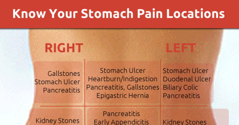 The 4 Quadrants and 9 Regions of The Abdomen