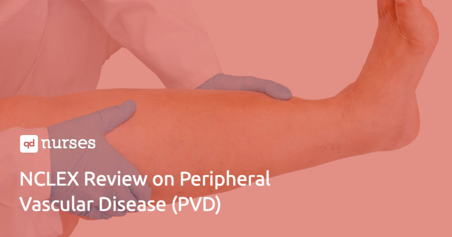 NCLEX Review on Peripheral Vascular Disease (PVD)