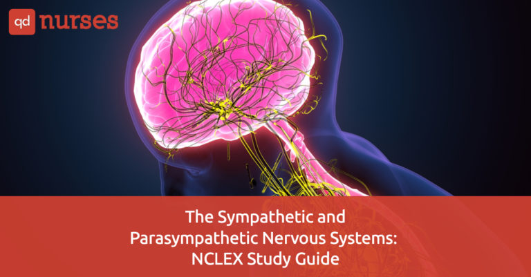 The Sympathetic and Parasympathetic Nervous Systems: NCLEX Study Guide
